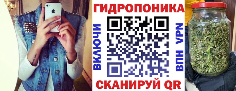 Бошки Шишки тримм  Будённовск 